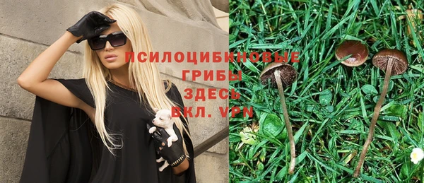 стафф Краснотурьинск