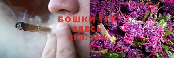 стафф Краснотурьинск