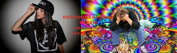 прущие крисы Красноперекопск